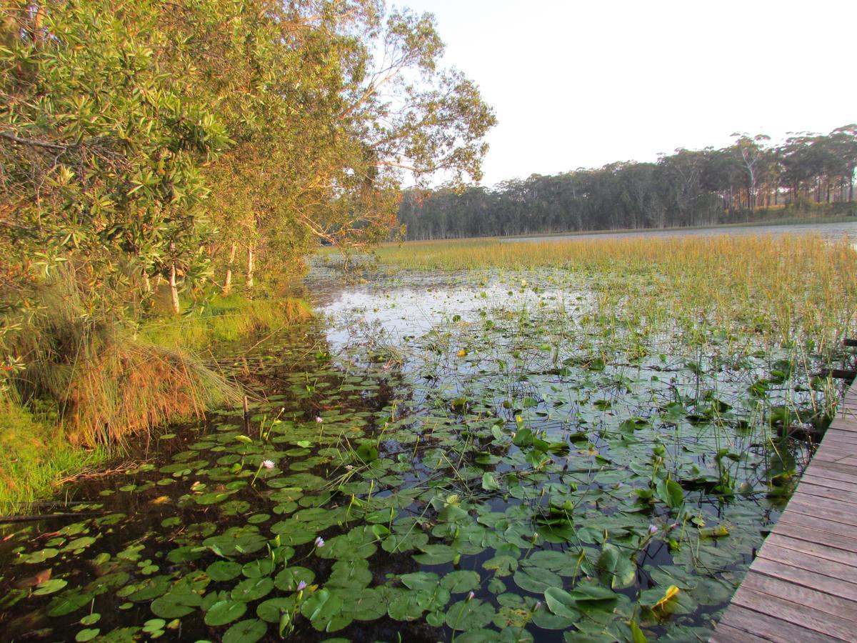 Lake Russell Retreat 翡翠海滩 外观 照片