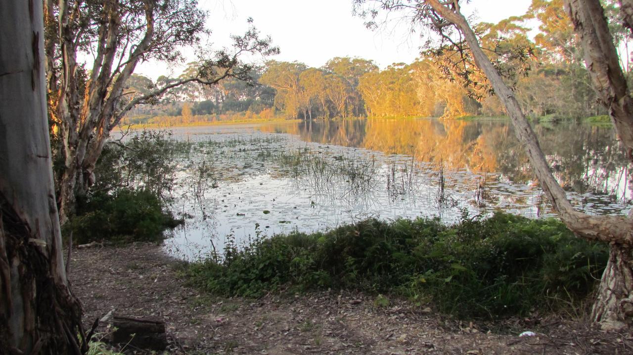 Lake Russell Retreat 翡翠海滩 外观 照片