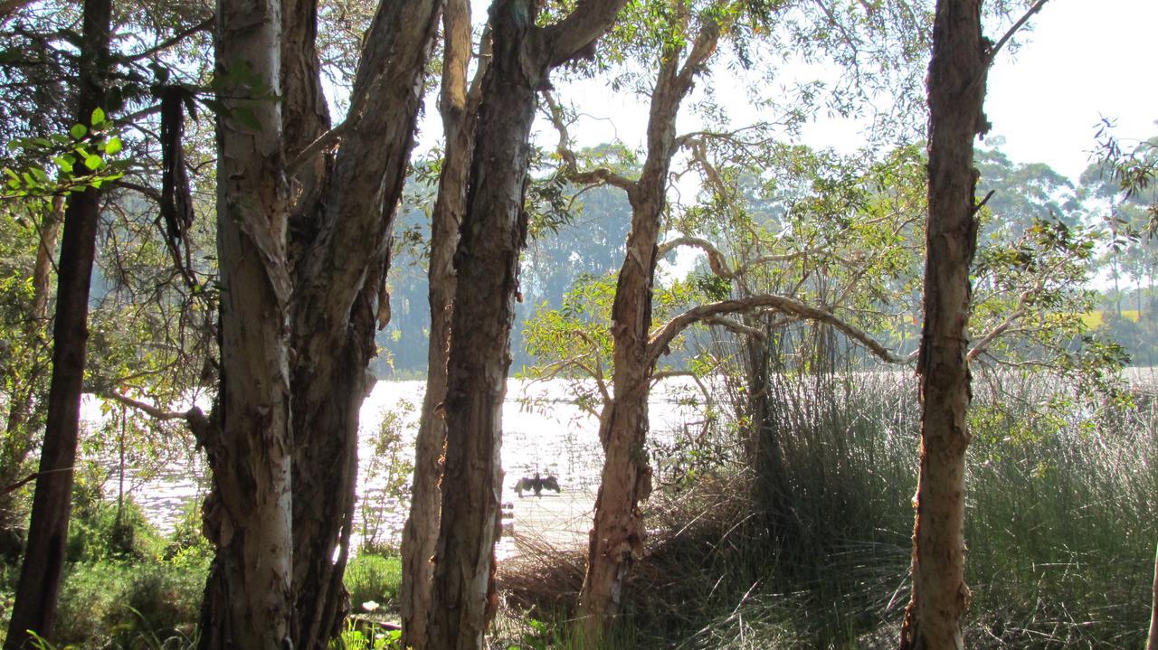 Lake Russell Retreat 翡翠海滩 外观 照片